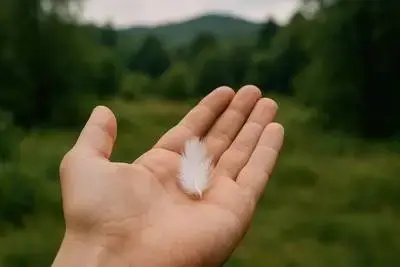 Weiße Feder in einer Hand