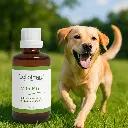 VitalMix Hundeglück - Die innovative Rezeptur für Hunde - 100ml